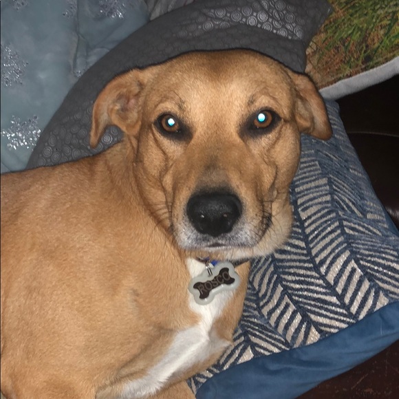 Meet your Posher, Cathy - Picture 8 of 9